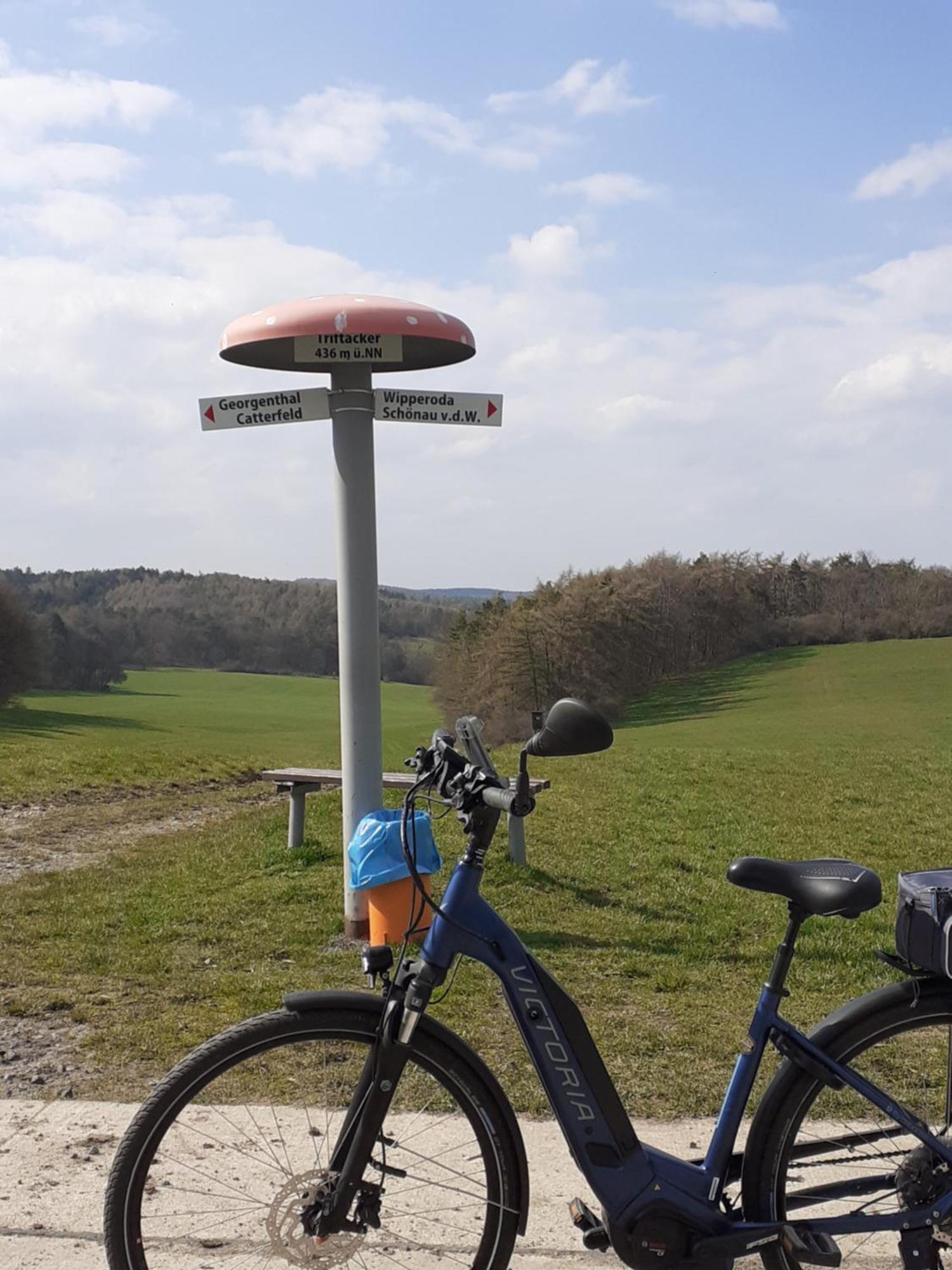 Ferienwohnung Am Wald Catterfeld Kültér fotó